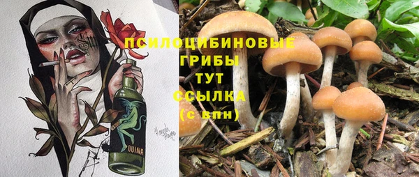 винт Армянск