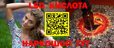 Альфа ПВП Камышлов