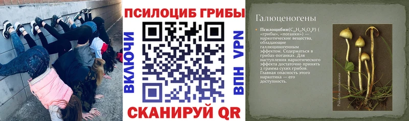 Галлюциногенные грибы прущие грибы  купить наркоту  Междуреченск 