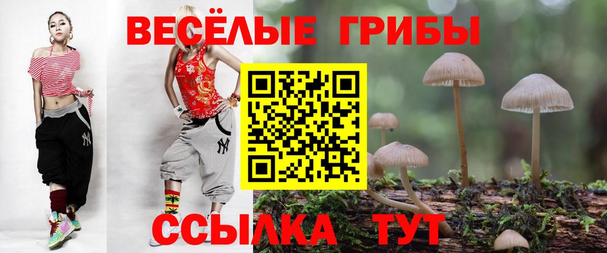 Галлюциногенные грибы Magic Shrooms Междуреченск