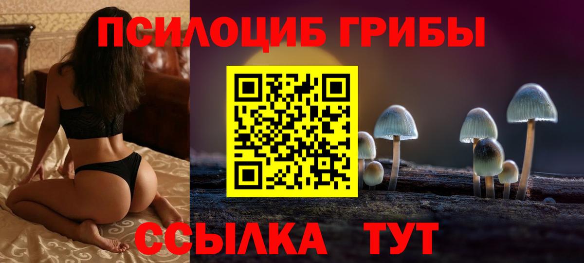 что такое наркотик  Псилоцибиновые грибы Psilocybine cubensis  Вход с VPN  Междуреченск 